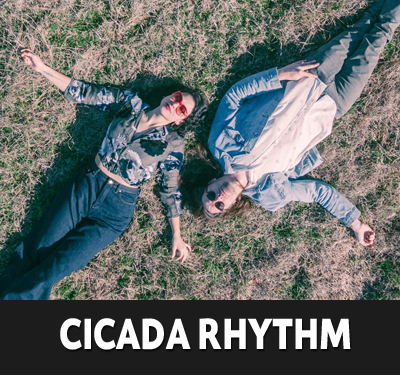 Cicada Rhythm